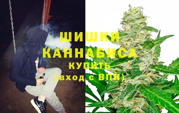 соль ск Белокуриха