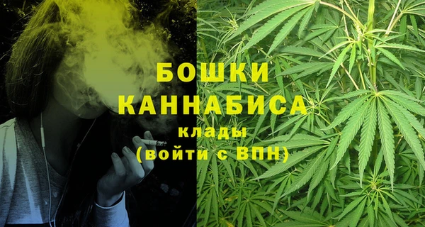 Альфа ПВП Богородск