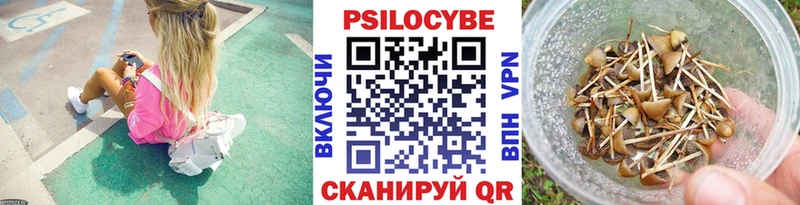 Псилоцибиновые грибы Magic Shrooms  где найти наркотики  гидра как зайти  Большой Камень 